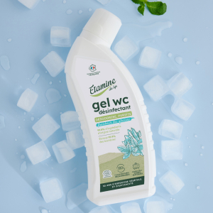 Gel WC fraîcheur désinfectant 750ml