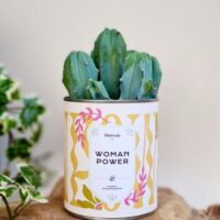 woman-power-diaiwaie